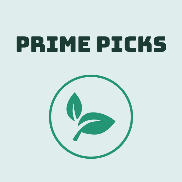 Prime Picks